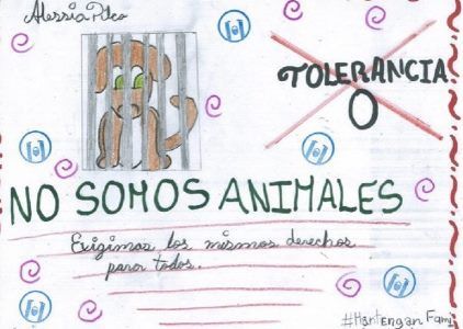 Amnistía destaca que escolares desde India hasta Venezuela expresan solidaridad con niños detenidos en aplicación de las órdenes de Trump.