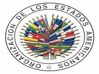 Expertos de la ONU y del Sistema Interamericano afirman que ataques de Trump a los medios violan las normas básicas de la libertad de prensa.