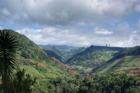 Más allá de Parques y Reservas: la experiencia de Costa Rica en la protección de sus bosques.