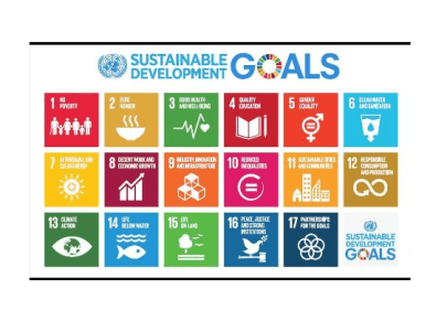 Medidas adoptadas por Japón para la implementación de la Agenda 2030.