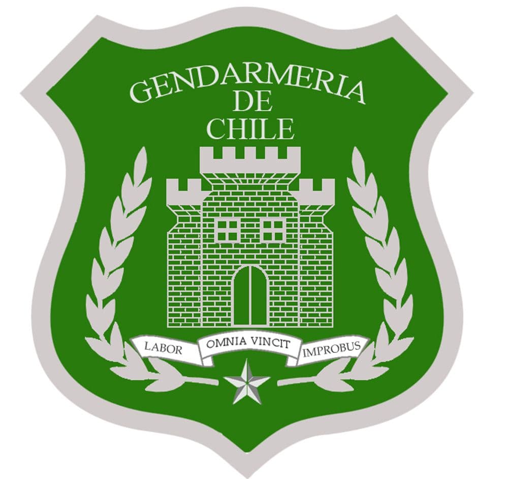 CGR determinó que corresponde a Gendarmería seguimiento, asistencia y control de los condenados en libertad condicional.