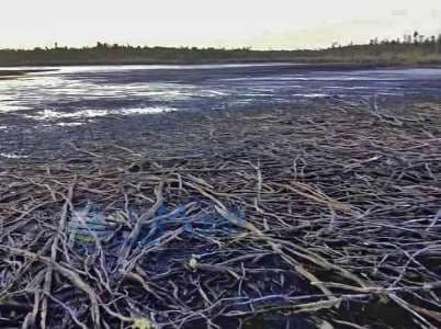 Tercer Tribunal Ambiental inspeccionará laguna Huayamó de Calbuco.