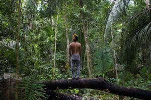 Amnistía advierte sobre riesgo de derramamiento de sangre en la amazonía brasilera a menos que el gobierno proteja a los pueblos indígenas de las confiscaciones de tierras y extracción maderera ilegales.