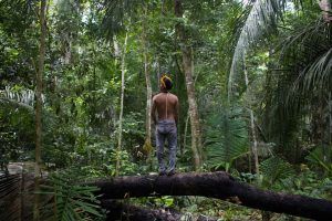Amnistía advierte sobre riesgo de derramamiento de sangre en la amazonía brasilera a menos que el gobierno proteja a los pueblos indígenas de las confiscaciones de tierras y extracción maderera ilegales.