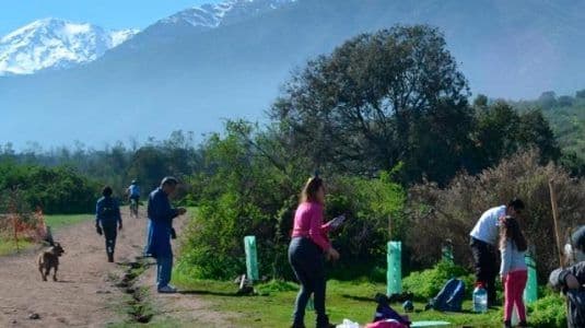 Segundo Tribunal Ambiental ordena retiro urgente y total de residuos dispuestos en Bosque Panul.
