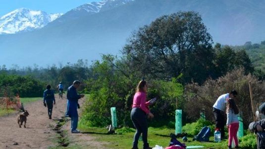 Segundo Tribunal Ambiental ordena retiro urgente y total de residuos dispuestos en Bosque Panul.