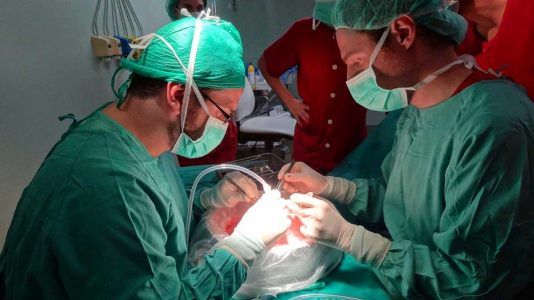 Caso español: El testamento vital y el consentimiento familiar, claves para la donación de órganos.