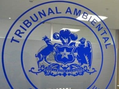 Medida cautelar: Segundo Tribunal Ambiental ordena paralización inmediata de construcción de caminos ejecutada por Inmobiliaria Altos del Yali en comuna de Santo Domingo.