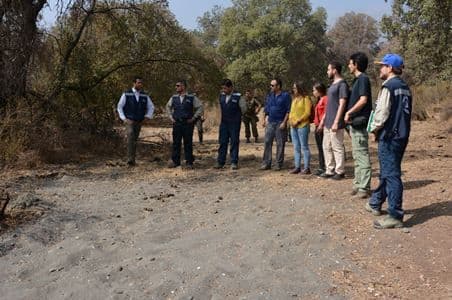 Segundo Tribunal Ambiental ordena a SMA dar curso a denuncias por disposición de residuos en quebradas de Bosque Panul.