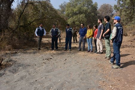 Segundo Tribunal Ambiental ordena a SMA dar curso a denuncias por disposición de residuos en quebradas de Bosque Panul.