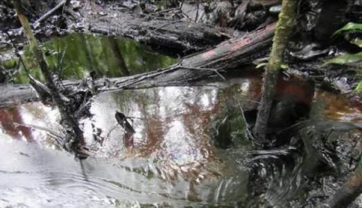 CIDH y su REDESCA manifiestan alta preocupación por derrames de petróleo en Perú e instan al Estado a tomar acciones de prevención, mitigación e investigación urgentes.