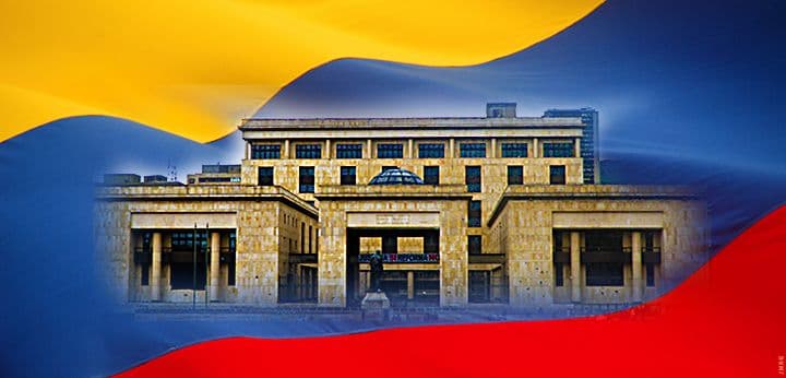 CS de Colombia rechazó acción de amparo en favor de osa de anteojos andina.