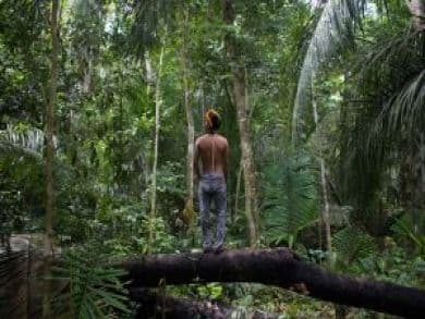 CIDH y su REDESCA expresan profunda preocupación por deforestación y quema en la Amazonía.