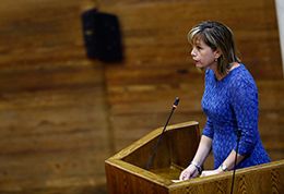 Sala de la Cámara de Diputados aprobó entregar tutela laboral a funcionarios públicos.