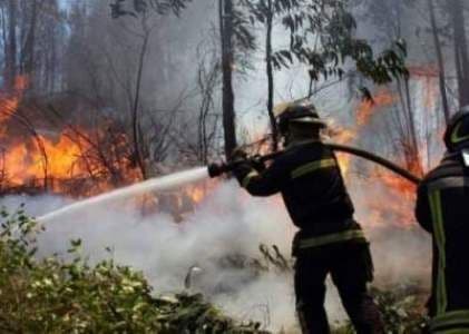 Incendios de 2017: con histórico plan de reparación el Segundo Tribunal Ambiental cerró demandas por daño ambiental en contra de CGE Distribución.