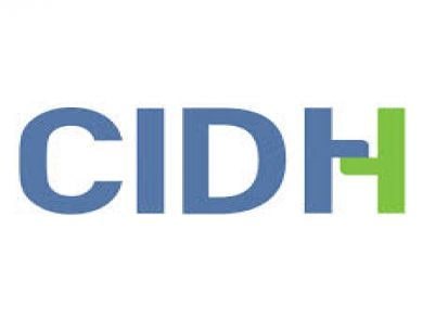 Comisión Interamericana de Derechos Humanos dicta resolución sobre pandemia y DDHH.