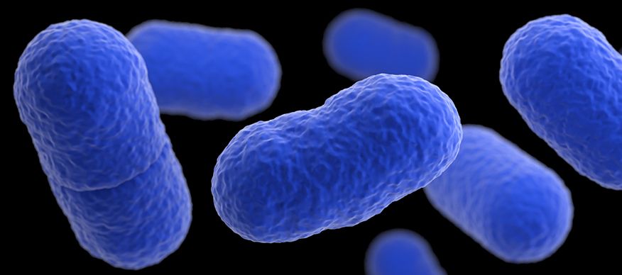 España: ratifican libertad provisional de encausados por el brote de listeriosis ocurrido en Sevilla.