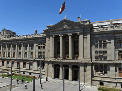 Corte Suprema confirma fallo que condenó a dueña de perra que atacó a niño de 4 años