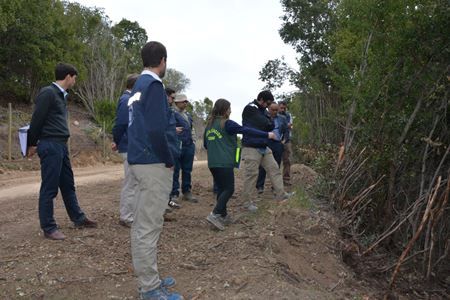 Segundo Tribunal Ambiental acoge demanda por reparación de daño ambiental contra Inmobiliaria Altos del Yali.