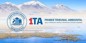 Primer Tribunal Ambiental declaró inadmisible apelación deducida por el SEA contra sentencia que determinó legitimación activa para reclamar a municipalidades.