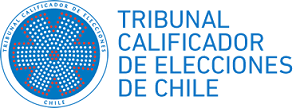 Diputado deduce reclamación contra resolución que lo sanciona por numerosas infracciones de propaganda electoral.