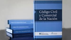 Tribunal argentino declaró inconstitucional norma del Código Civil y Comercial y autorizó a mujer a «gestar por sustitución» al hijo de su hermana.
