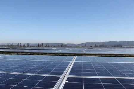 Segundo Tribunal Ambiental rechazó reclamación de Agrícola Alma Ltda. relativa a parque fotovoltaico ubicado en la provincia de San Felipe.