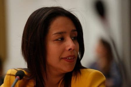 TC escuchó alegatos de fondo de inaplicabilidad deducida por Diputada que impugna norma que contiene procedimiento para solicitar desafuero en juicio por injurias graves.