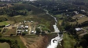 Tercer Tribunal Ambiental se declara parcialmente incompetente respecto de demanda de reparación de daño ambiental del Humedal Angachilla.