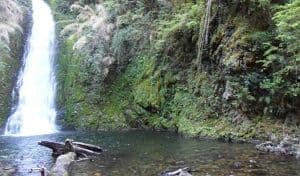 Nuevamente presentan ante el Tercer Tribunal Ambiental reclamación contra SEA por resolución que acogió parcialmente reclamaciones administrativas por calificación favorable de Central Hidroeléctrica Llancalil.