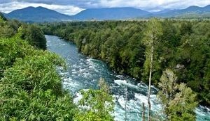 Tercer Tribunal Ambiental admitió a trámite reclamación contra SEA por resolución que acogió parcialmente reclamaciones administrativas por calificación favorable de la Central Hidroeléctrica Llancalil.