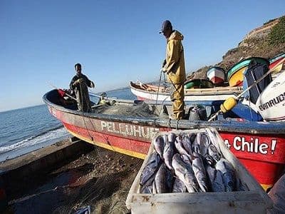 CS acogió casación en el fondo interpuesto por el Servicio Nacional de Pesca y Acuicultura que impuso una multa por no acreditar el origen legal de recursos hidrobiológicos comercializados.