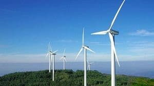 Tercer Tribunal Ambiental rechazó reclamación que incide en calificación ambiental de Proyecto Eólico Calbuco.