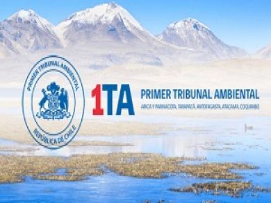 Primer Tribunal Ambiental declara admisible reclamación que impugna resolución que rechazó reclamo deducido contra SEA por calificar favorablemente proyecto de desembarco de cobre en Puerto de Caldera.