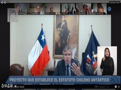 TC se pronuncia respecto de constitucionalidad de Proyecto de Ley que establece el Estatuto Chileno Antártico.
