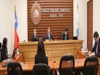 Tercer Tribunal Ambiental autorizó medida provisional de detención de funcionamiento de proyectos inmobiliarios en la costa de Valdivia.