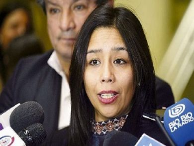 TC rechazó inaplicabilidad deducida por Diputada Leuquen que impugnaba norma que contiene procedimiento de desafuero, en juicio por injurias graves.