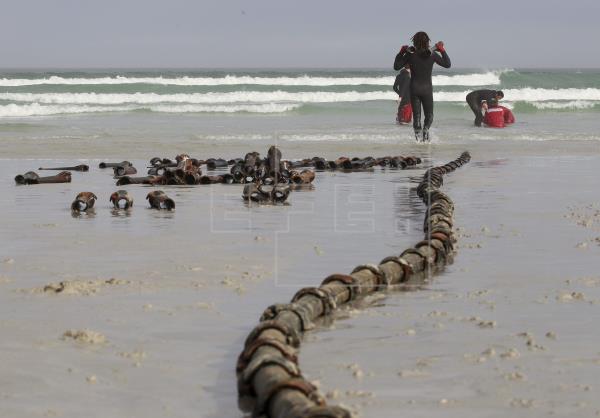Imagen: www.efe.com