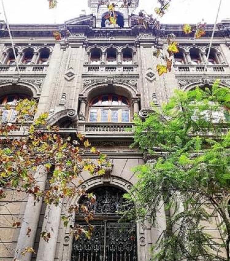 Norma que limita las excepciones que pueden oponer las Sociedades de Garantía Recíproca en la ejecución de deudas que constan en certificados de fianza, no produce efectos contrarios a la Constitución, resuelve el Tribunal Constitucional.