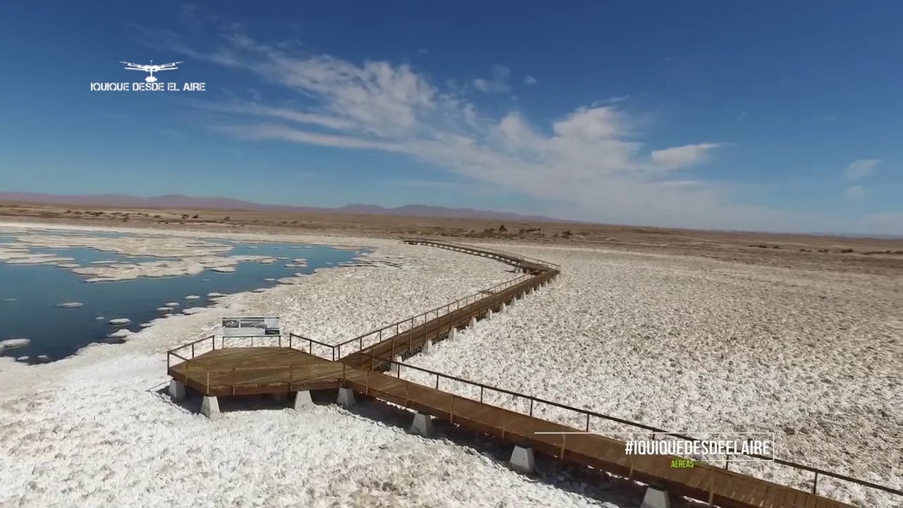 Primer Tribunal Ambiental rechazó reclamación deducida por comunidades indígenas contra resolución de la SMA que aprobó programa de cumplimiento presentado por SQM relativo al proyecto “Pampa Hermosa”.