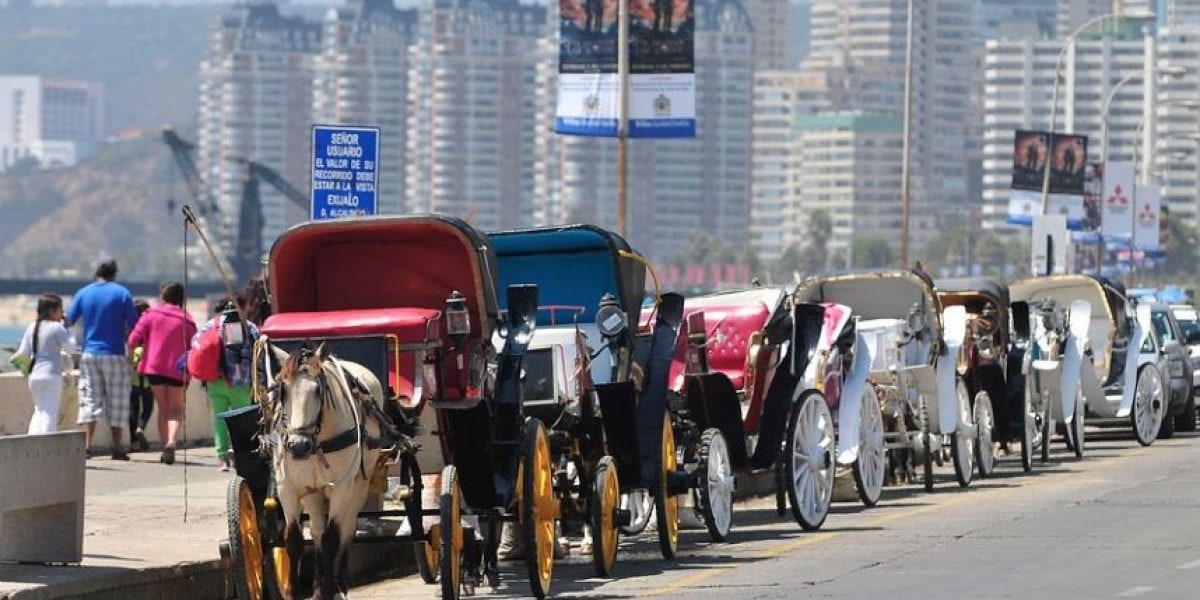 TC rechaza inaplicabilidad que impugna normas de la LOC de Municipalidades en base a las cuales se dictó la Ordenanza Municipal que prohíbe el transporte de pasajeros en Coches Victoria en la comuna de Viña del Mar.