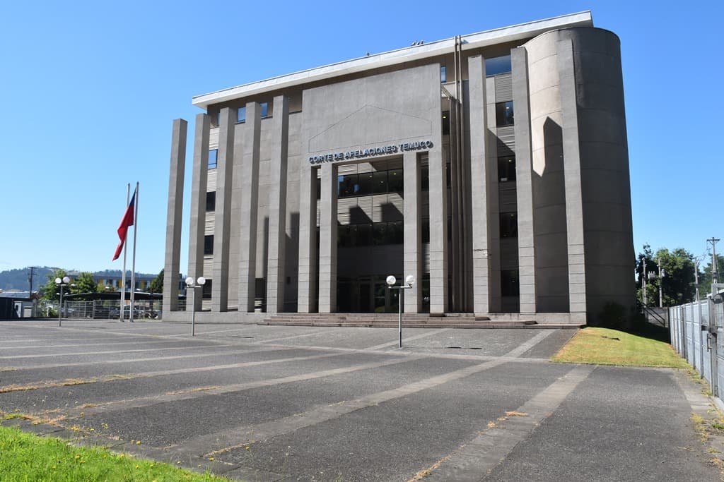 Corte de Temuco acoge recurso de amparo contra PDI por detener a una menor con fuerza desproporcionada e ilegítima.