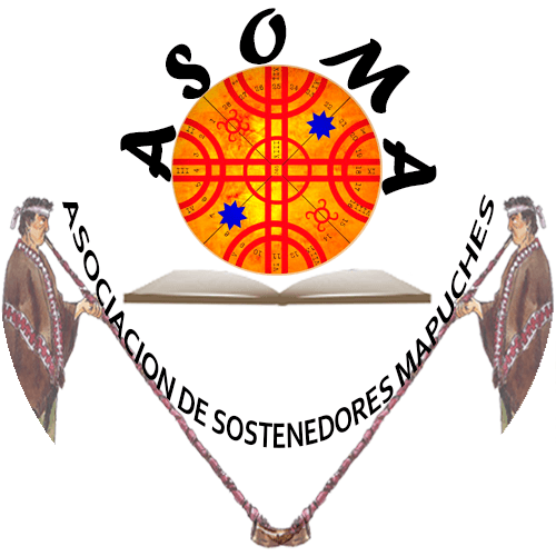 TC declara improcedencia de inaplicabilidad solicitada por Asociación Gremial de Sostenedores Mapuches que impugnaba glosas presupuestarias, con el fin de que alumnos matriculados en colegios afiliados a dicha organización puedan recibir computadores.