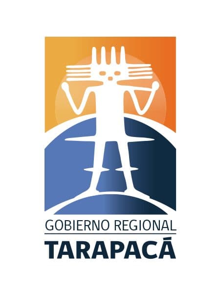 TC declara admisible inaplicabilidad pretendida por Gobierno Regional de Tarapacá que impugna norma del Código del Trabajo que limita excepciones en juicio ejecutivo laboral.