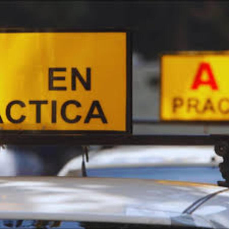 TC acogió requerimiento de inaplicabilidad que impugna norma de la Ley del Tránsito referida a la suspensión de la licencia de conducir por acumulación de infracciones.