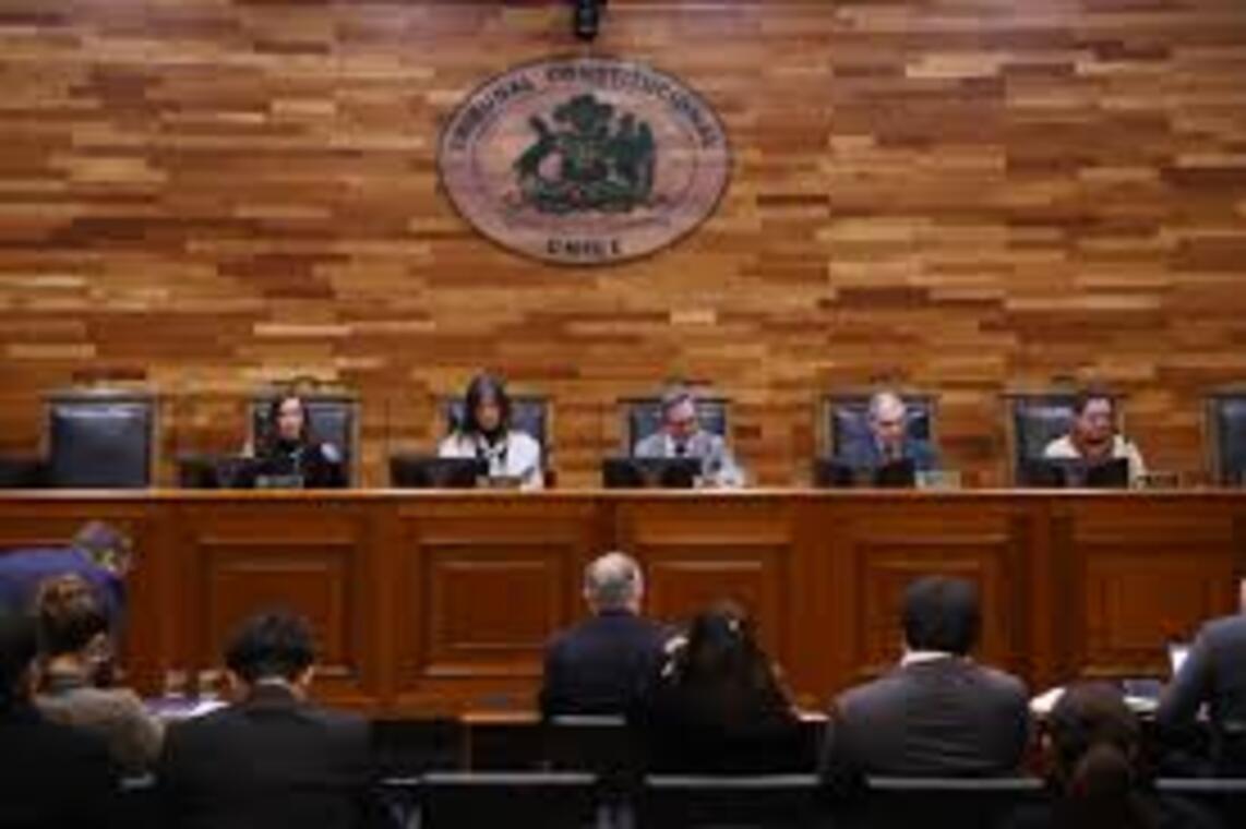 TC acogió requerimiento de inaplicabilidad que impugna normas de la Ley de Transparencia referidas a la publicidad de la información elaborada con presupuesto público y a las causales de reserva.