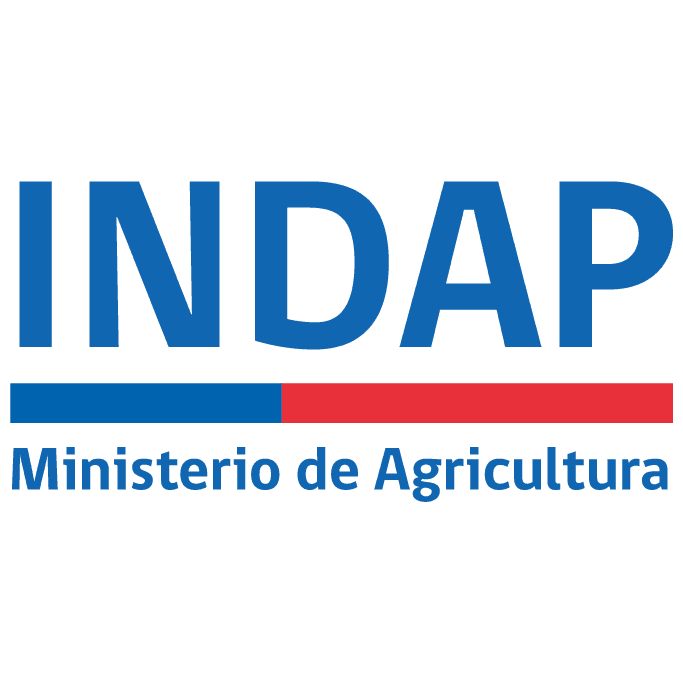 Juzgado de Letras del Trabajo de Santiago rechazó acción de tutela laboral y demanda subsidiaria de despido injustificado deducidas contra el Instituto de Desarrollo Agropecuario.