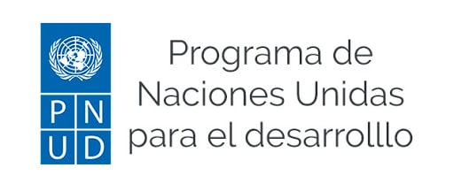 Juzgado de Letras del Trabajo de Punta Arenas rechazó acciones intentadas contra el Programa de Naciones Unidas para el Desarrollo y el Instituto Nacional de la Juventud.