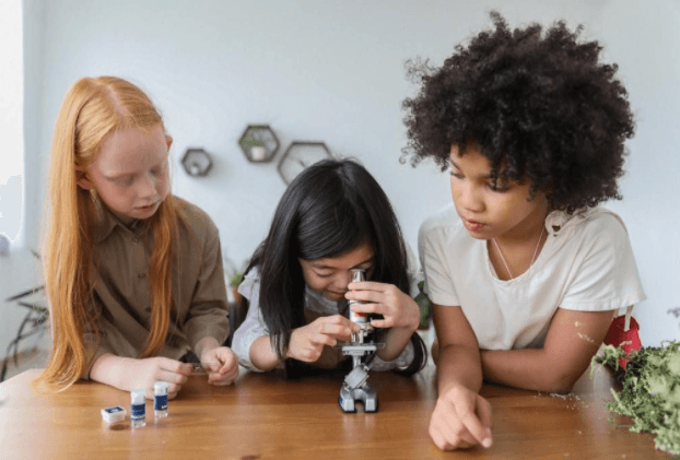 «Mujeres en STEM (ciencia, tecnología, ingeniería y matemáticas en sus siglas en inglés) en Australia y la importancia de la inclusión femenina en la ciencia en Chile».