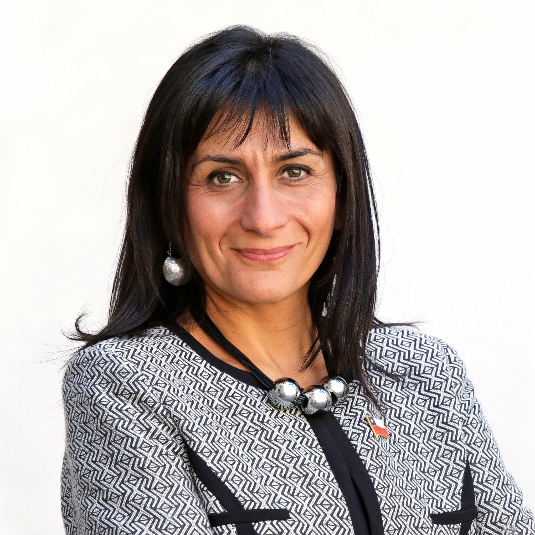Tricel se pronunciará sobre apelación en contra de TER de Ñuble que no dio lugar a reclamación por rechazo de candidatura al cargo de alcalde de Chillan de Paola Becker por encontrarse afiliada a RN.